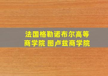 法国格勒诺布尔高等商学院 图卢兹商学院